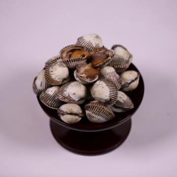 꼬막 1kg