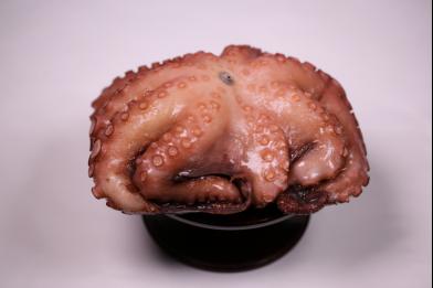 문어적