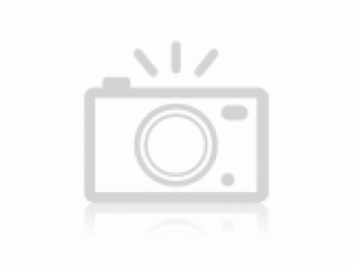 배추전